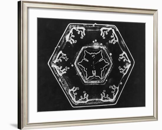 Ice Crystals-null-Framed Photographic Print