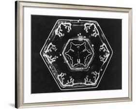 Ice Crystals-null-Framed Photographic Print