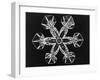 Ice Crystals-null-Framed Photographic Print