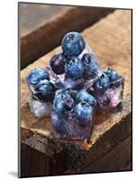 Ice Cubes with Blueberries on a Wooden Table-Chris Schäfer-Mounted Photographic Print