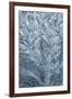 Ice design on car windshield-Darrell Gulin-Framed Photographic Print