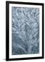 Ice design on car windshield-Darrell Gulin-Framed Photographic Print