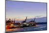 Ice Drift, Floes Floating on the Elbe, Harbour Cranes, Evening Mood, …velgšnne-Axel Schmies-Mounted Photographic Print