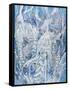 Ice Fairies-Bill Bell-Framed Stretched Canvas