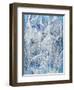 Ice Fairies-Bill Bell-Framed Premium Giclee Print