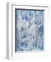 Ice Fairies-Bill Bell-Framed Premium Giclee Print