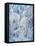 Ice Fairies-Bill Bell-Framed Stretched Canvas