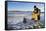 Ice Fishing-songbird839-Framed Stretched Canvas