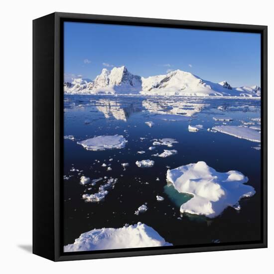 Ice Floe on the Antarctic Peninsula-Geoff Renner-Framed Stretched Canvas