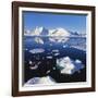 Ice Floe on the Antarctic Peninsula-Geoff Renner-Framed Premium Photographic Print