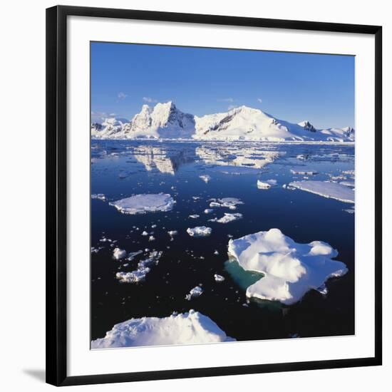 Ice Floe on the Antarctic Peninsula-Geoff Renner-Framed Premium Photographic Print