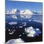 Ice Floe on the Antarctic Peninsula-Geoff Renner-Mounted Premium Photographic Print