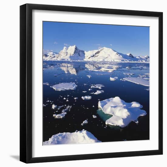 Ice Floe on the Antarctic Peninsula-Geoff Renner-Framed Photographic Print
