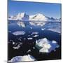 Ice Floe on the Antarctic Peninsula-Geoff Renner-Mounted Photographic Print