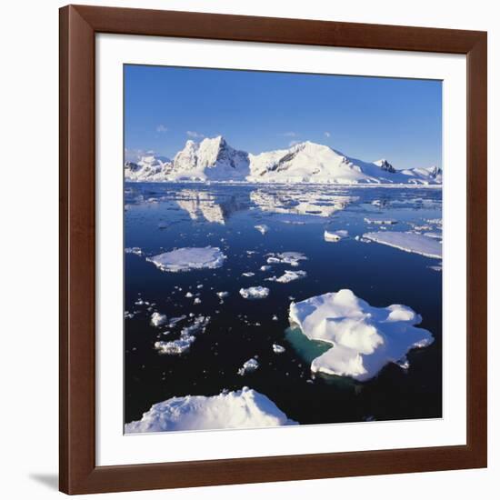 Ice Floe on the Antarctic Peninsula-Geoff Renner-Framed Photographic Print