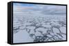 Ice Floes Choke the Waters of the Lemaire Channel, Antarctica, Polar Regions-Michael Nolan-Framed Stretched Canvas