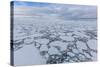 Ice Floes Choke the Waters of the Lemaire Channel, Antarctica, Polar Regions-Michael Nolan-Stretched Canvas