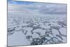 Ice Floes Choke the Waters of the Lemaire Channel, Antarctica, Polar Regions-Michael Nolan-Mounted Photographic Print