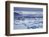 Ice floes in the lagoon at Jokulsarlon, Vatnajokull National Park-Nigel Hicks-Framed Photographic Print