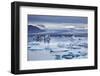 Ice floes in the lagoon at Jokulsarlon, Vatnajokull National Park-Nigel Hicks-Framed Photographic Print