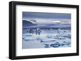 Ice floes in the lagoon at Jokulsarlon, Vatnajokull National Park-Nigel Hicks-Framed Photographic Print