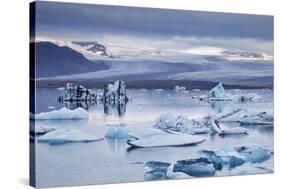 Ice floes in the lagoon at Jokulsarlon, Vatnajokull National Park-Nigel Hicks-Stretched Canvas