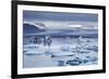 Ice floes in the lagoon at Jokulsarlon, Vatnajokull National Park-Nigel Hicks-Framed Photographic Print