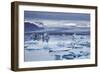 Ice floes in the lagoon at Jokulsarlon, Vatnajokull National Park-Nigel Hicks-Framed Photographic Print