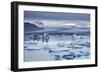 Ice floes in the lagoon at Jokulsarlon, Vatnajokull National Park-Nigel Hicks-Framed Photographic Print