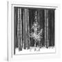 Ice Forest-Hakan Strand-Framed Giclee Print