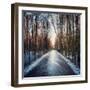 Ice Forest-RedHulk-Framed Photographic Print