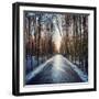 Ice Forest-RedHulk-Framed Photographic Print