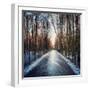 Ice Forest-RedHulk-Framed Photographic Print