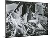 Ice Formation, 1959-Brett Weston-Mounted Photographic Print