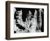 Ice Formation, 1972-Brett Weston-Framed Photographic Print