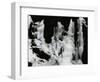 Ice Formation, 1972-Brett Weston-Framed Photographic Print