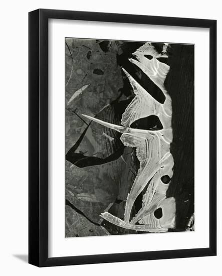 Ice Formation, 1975-Brett Weston-Framed Photographic Print
