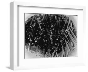 Ice Formation, Alaska, 1977-Brett Weston-Framed Photographic Print