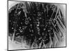 Ice Formation, Alaska, 1977-Brett Weston-Mounted Photographic Print