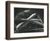 Ice Formation, Alaska, 1977-Brett Weston-Framed Photographic Print