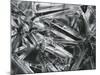 Ice Formation, c. 1970-Brett Weston-Mounted Photographic Print