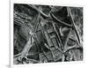 Ice Formation, c. 1970-Brett Weston-Framed Photographic Print