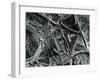 Ice Formation, c. 1970-Brett Weston-Framed Photographic Print