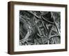 Ice Formation, c. 1970-Brett Weston-Framed Photographic Print