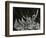 Ice Formation, California, 1949-Brett Weston-Framed Photographic Print