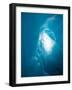 Ice Formation in Franz Josef Glacier, South Island, New Zealand-David Wall-Framed Photographic Print