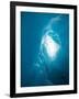 Ice Formation in Franz Josef Glacier, South Island, New Zealand-David Wall-Framed Photographic Print
