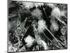 Ice Formation, Mono Lake, California, 1958-Brett Weston-Mounted Photographic Print