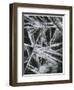 Ice Formation, Oregon, 1965-Brett Weston-Framed Photographic Print