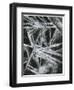 Ice Formation, Oregon, 1965-Brett Weston-Framed Photographic Print